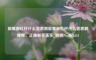 股票做杠杆什么意思啊股票做杠杆什么意思啊视频，正确解答落实_旗舰Pro版4.651