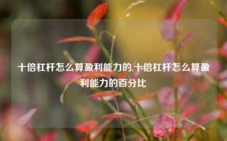 十倍杠杆怎么算盈利能力的,十倍杠杆怎么算盈利能力的百分比