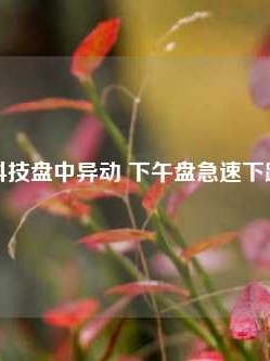 致保科技盘中异动 下午盘急速下跌5.19%