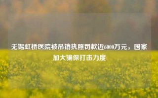 无锡虹桥医院被吊销执照罚款近6000万元，国家加大骗保打击力度