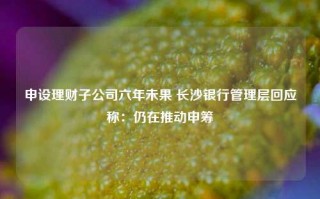 申设理财子公司六年未果 长沙银行管理层回应称：仍在推动申筹