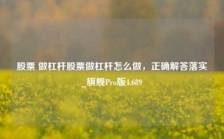 股票 做杠杆股票做杠杆怎么做，正确解答落实_旗舰Pro版4.689