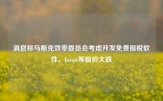 消息称马斯克效率委员会考虑开发免费报税软件，Intuit等股价大跌