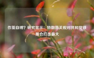 作茧自缚？研究显示：特朗普关税对共和党铁票仓打击最大