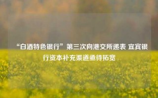 “白酒特色银行”第三次向港交所递表 宜宾银行资本补充渠道亟待拓宽