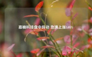 嘉楠科技盘中异动 急速上涨5.05%