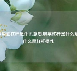 股票里面杠杆是什么意思,股票杠杆是什么意思?什么是杠杆操作