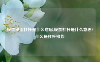 股票里面杠杆是什么意思,股票杠杆是什么意思?什么是杠杆操作