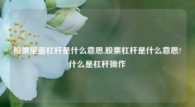 股票里面杠杆是什么意思,股票杠杆是什么意思?什么是杠杆操作