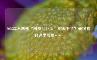 2025年不再是“科技七巨头”的天下了？美银看好这类股票……