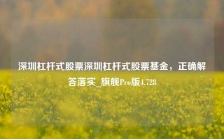 深圳杠杆式股票深圳杠杆式股票基金，正确解答落实_旗舰Pro版4.728