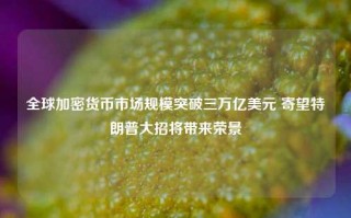 全球加密货币市场规模突破三万亿美元 寄望特朗普大招将带来荣景