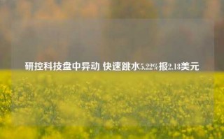 研控科技盘中异动 快速跳水5.22%报2.18美元