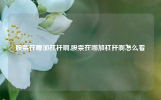 股票在哪加杠杆啊,股票在哪加杠杆啊怎么看