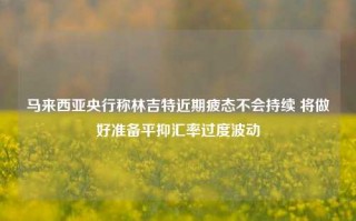 马来西亚央行称林吉特近期疲态不会持续 将做好准备平抑汇率过度波动