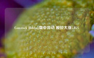 Comstock Holding盘中异动 股价大涨5.05%