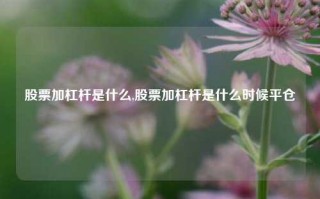 股票加杠杆是什么,股票加杠杆是什么时候平仓