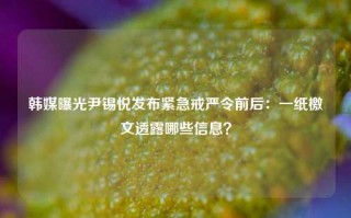 韩媒曝光尹锡悦发布紧急戒严令前后：一纸檄文透露哪些信息？