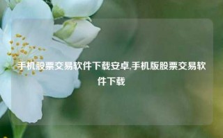 手机股票交易软件下载安卓,手机版股票交易软件下载