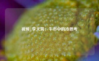 视频|李大霄：牛市中的冷思考