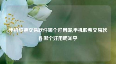 手机股票交易软件哪个好用呢,手机股票交易软件哪个好用呢知乎