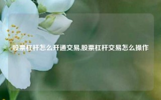 股票杠杆怎么开通交易,股票杠杆交易怎么操作