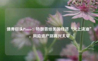 债券巨头Pimco：特朗普给美国经济“火上浇油”，风险资产别高兴太早