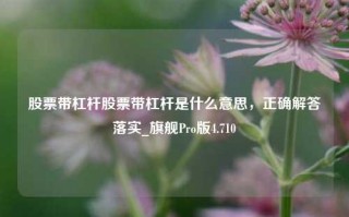 股票带杠杆股票带杠杆是什么意思，正确解答落实_旗舰Pro版4.710