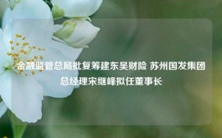 金融监管总局批复筹建东吴财险 苏州国发集团总经理宋继峰拟任董事长