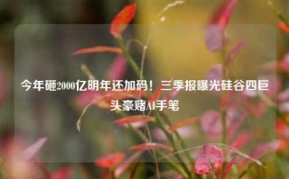 今年砸2000亿明年还加码！三季报曝光硅谷四巨头豪赌AI手笔