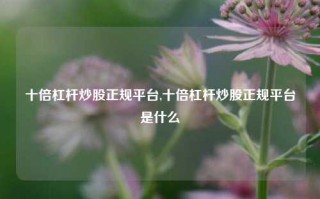 十倍杠杆炒股正规平台,十倍杠杆炒股正规平台是什么