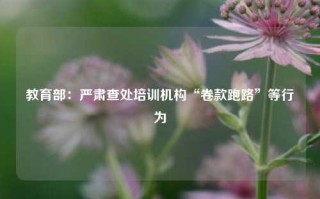 教育部：严肃查处培训机构“卷款跑路”等行为