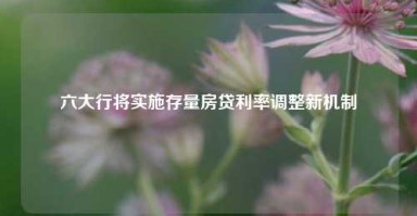 六大行将实施存量房贷利率调整新机制