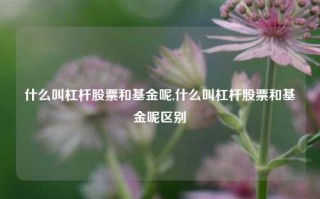 什么叫杠杆股票和基金呢,什么叫杠杆股票和基金呢区别