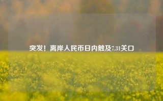 突发！离岸人民币日内触及7.31关口