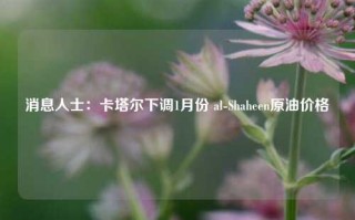 消息人士：卡塔尔下调1月份 al-Shaheen原油价格