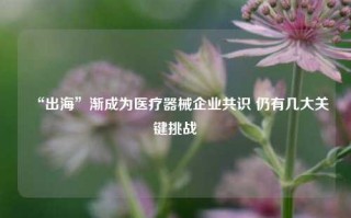 “出海”渐成为医疗器械企业共识 仍有几大关键挑战