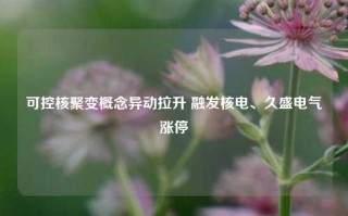 可控核聚变概念异动拉升 融发核电、久盛电气涨停