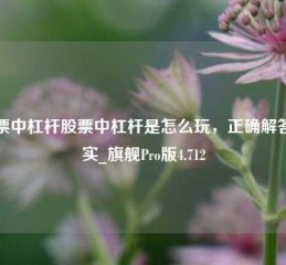 股票中杠杆股票中杠杆是怎么玩，正确解答落实_旗舰Pro版4.712