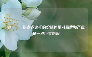 钟睒睒：拼多多这样的价格体系对品牌和产业是一种巨大伤害