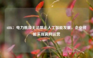 ARK：电力瓶颈无法阻止人工智能发展，企业可能实现离网运营