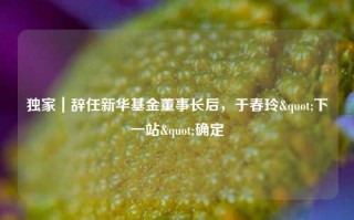 独家｜辞任新华基金董事长后，于春玲"下一站"确定