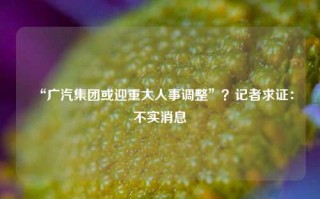 “广汽集团或迎重大人事调整”？记者求证：不实消息