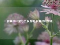 股票杠杆是怎么收费的,股票杠杆算法