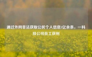 通过外网非法获取公民个人信息1亿余条，一科技公司员工获刑