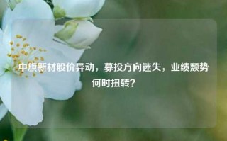 中旗新材股价异动，募投方向迷失，业绩颓势何时扭转？