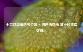 土耳其国有防务公司TAI遭恐怖袭击 基准股票指数跌2%