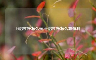 10倍杠杆怎么玩,十倍杠杆怎么算盈利