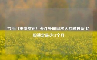 六部门重磅发布！允许外国自然人战略投资 持股锁定最少12个月