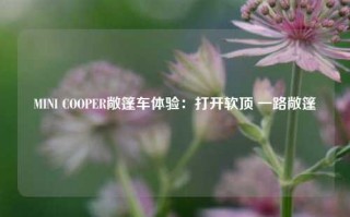 MINI COOPER敞篷车体验：打开软顶 一路敞篷